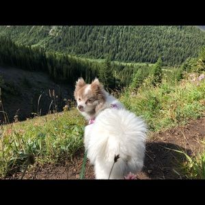 Meet your Posher, Camryn